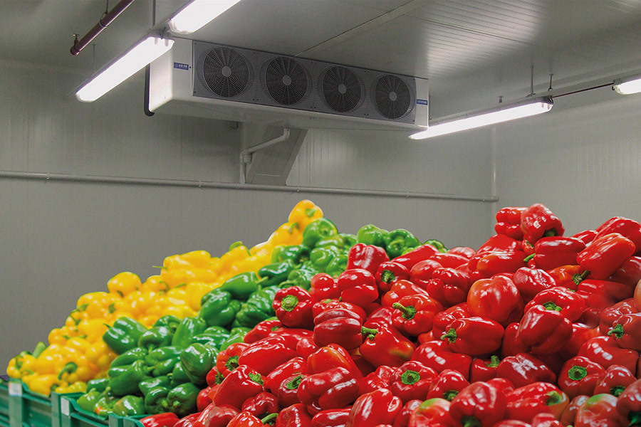 Fruit warehouse - RONGIS Covered Market - Paris, France - FHC 30 unit cooler with 4 fans