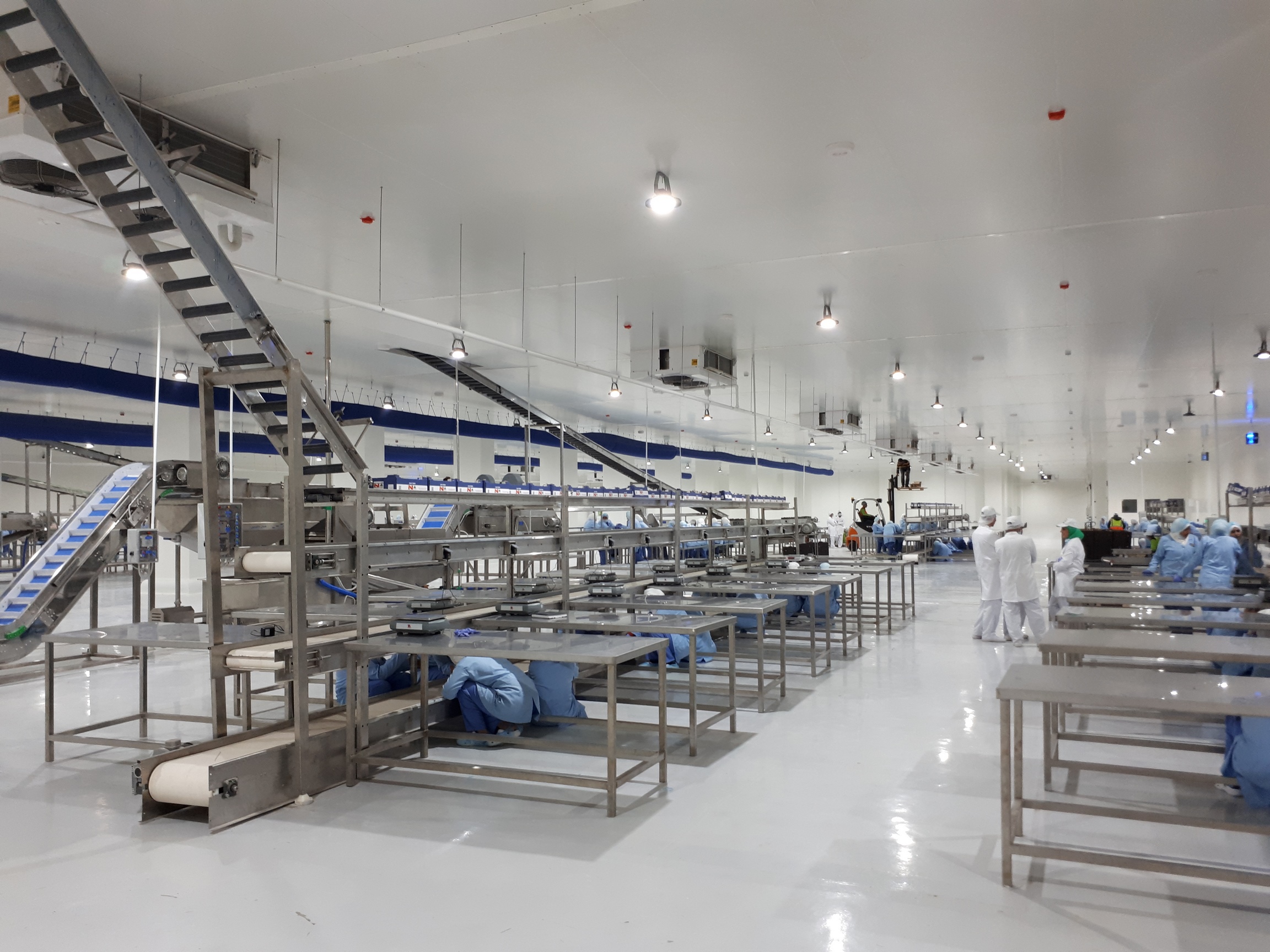 Project name: Cold store and packaging facility for agri product in Cairo<br/>
Refrigeration contractor: MOG for Engineering and Industry, 10th of Ramadan Industrial City, Egypt<br/>
Execution 2018<br/>
Application: facility for collection, precooling, packaging and storage of various fruits and vegetables (lemon, oranges, strawberry, peas, pomegranate etc.). This project is part of a larger plan to develop the agricultural industry of Egypt, by boosting the facilities to serve the export market (Mainly northern Europe and Russia). Currently two additional cold store are under installation and commissioning.<br/>
Cooling system description:<br/>
- Chilled receiving area: LU-VE Dual Discharge 3# CD50H 9452 N 6 - 23,7kW  (16C_85%_EV5) R407c<br/>
- 2 precooling rooms: LU-VE Cubic 4# CS71H 4416 E 10 - 67,3kW (0C_85%_EV-5C) R404a<br/>
- Production and packaging hall: LU-VE Dual Discharge 12# CD50H 9456 N 6 - 69,9kW  (18C_85%_EV5) R407c<br/>
- 6 receiving rooms: LU-VE Cubic 6# CS62H 2218 N 6 - 140,8kW (15C_85%_EV5) R407c<br/>
- 6 cold stores: LU-VE Cubic 12# F50HC 1714 E 6 - 31,2kW (0C_85%_EV-5C) R404a<br/>
- Shipping area: LU-VE Dual Discharge 5# CD50H 9452 N 6 -  23,7kW  (16C_85%_EV5) R404a<br/>
Rack System:<br/>
- 4# Emerson 200HP Rack for MT application R407c – 4# LU-VE Condensers EHV90F 374 H 8VENT (2X4)<br/>
- 2# Emerson 180HP Rack for LT application R404a – 2# LU-VE Condensers EAV8S 7231 H 6VENT (2X3)<br/>
- 1# Emerson 200HP Rack for LT application R404a – 1# LU-VE Condensers EHV90F 368 H 6VENT (2X3)
