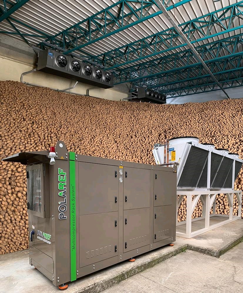 Potato Cold Storage for Lays (PepsiCo) in Turkey. <br>
<br>
Condensers:<br>
4 x XDHV1X 4145+SUBC+EC+GRILLE<br>
<br>
Evaporators:<br>
8 x LS50H 5824 E 7 <br>
+ INOX BODY<br>
+EC FANS<br>
<br>Prestigious customer with similar cold store.<br>
It has been proved that the reduction of energy consumption (coupled with Polaref raks, with Bitzer compressor) is 45 to 50% yearly.<br>
Challenge of maintaining the humidity at 97%, and 1°C decrease in temperature every 12 hours.












